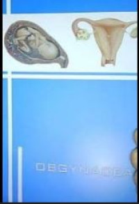 Image of Obgynacea