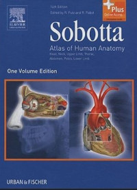 Image of Sobotta : Atlas of Human Anatomy VOl.1