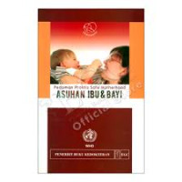 Image of Pedoman Praktis Safe Motherhood : Asuhan Ibu Dan Bayi