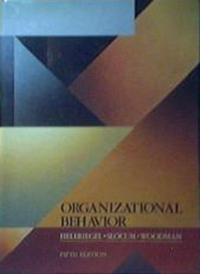 Image of Organizational Behavior