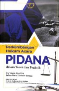 Image of Perkembangan hukum acara pidana : dalam teori dan praktik