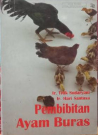 Image of Pembibitan Ayam Buras